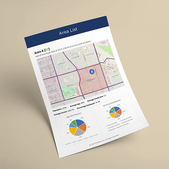 Page from the Voter Engagement Report.